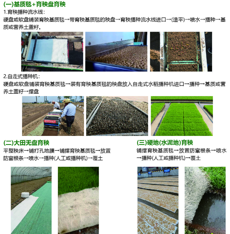 水稻育秧基质毯